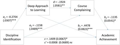 The Relation Between Discipline Identity and Academic Achievement Within a Marketized Higher Education Context: A Serial Mediation Model of Approaches to Learning and Course Complaints